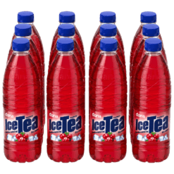 DANA Ledeni Čaj Brusnica 12x0,5L PET