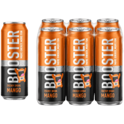 BOOSTER Mango Energy 6x0,5L