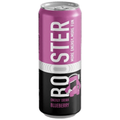 BOOSTER Energy Borovnica 0,25L PL